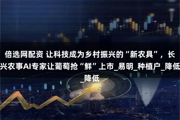 倍选网配资 让科技成为乡村振兴的“新农具”，长兴农事AI专家让葡萄抢“鲜”上市_易明_种植户_降低