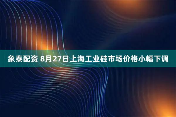 象泰配资 8月27日上海工业硅市场价格小幅下调