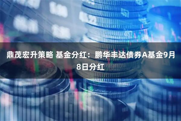 鼎茂宏升策略 基金分红：鹏华丰达债券A基金9月8日分红