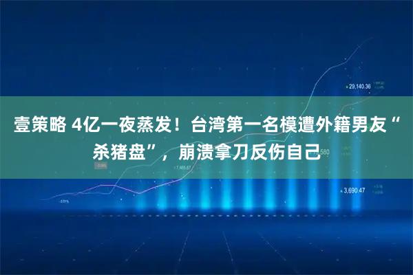 壹策略 4亿一夜蒸发！台湾第一名模遭外籍男友“杀猪盘”，崩溃拿刀反伤自己