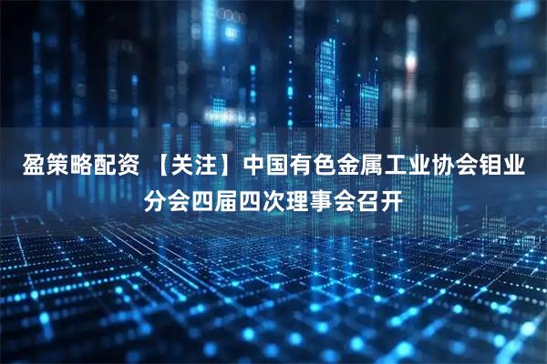盈策略配资 【关注】中国有色金属工业协会钼业分会四届四次理事会召开